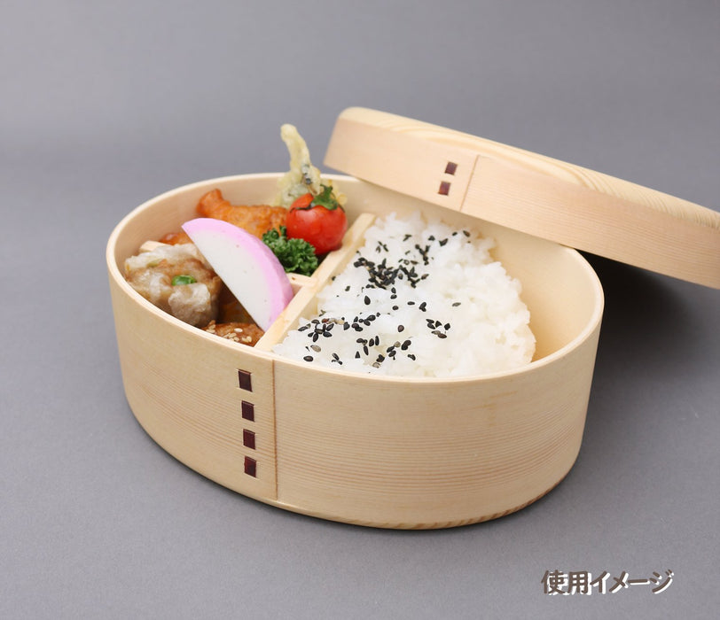 Ruozhao Japan Magewappa Single Tier Lunch Box - Oval Earl Finish